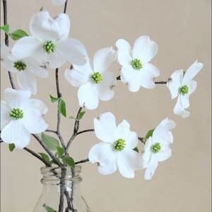 Meet your Posher, Km